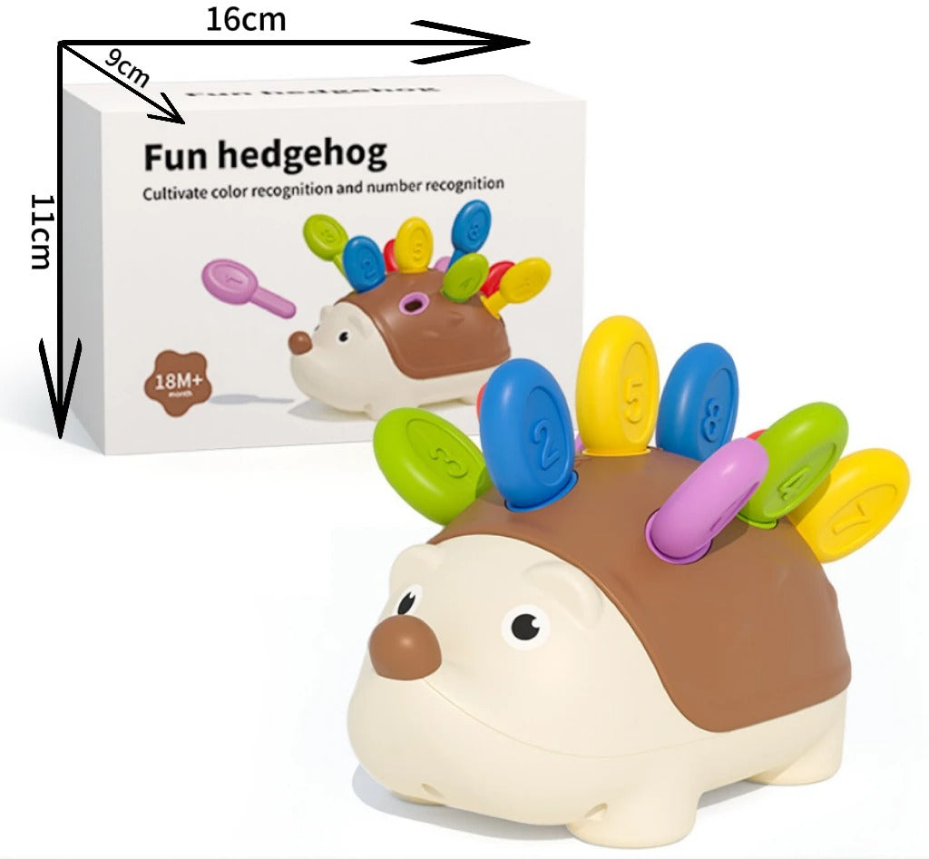 Montessori Sensory Hedgehog Toy