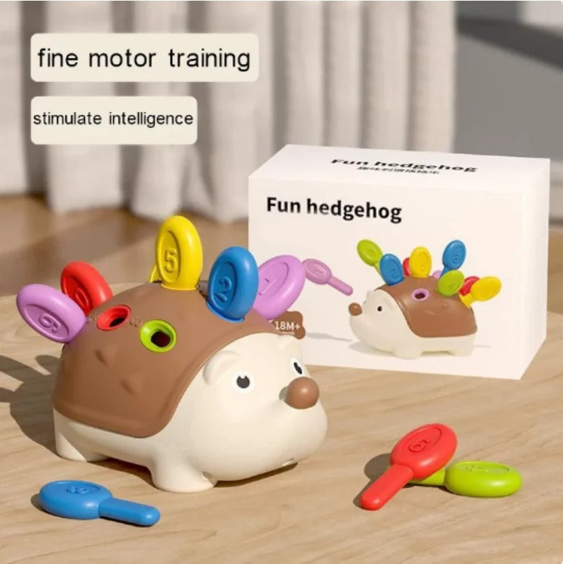 Montessori Sensory Hedgehog Toy